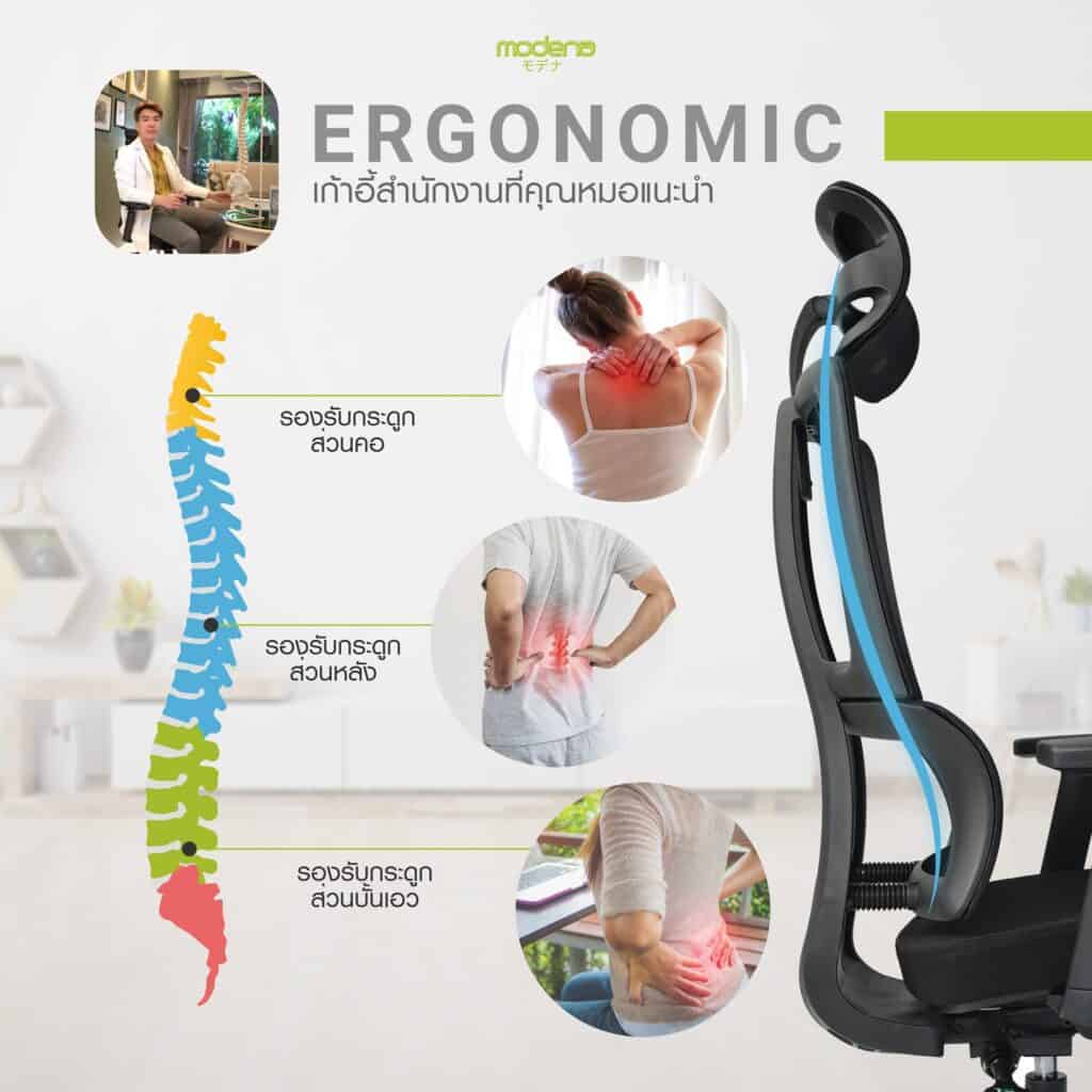 เก้าอี้ทำงาน เพื่อสุขภาพ Modena