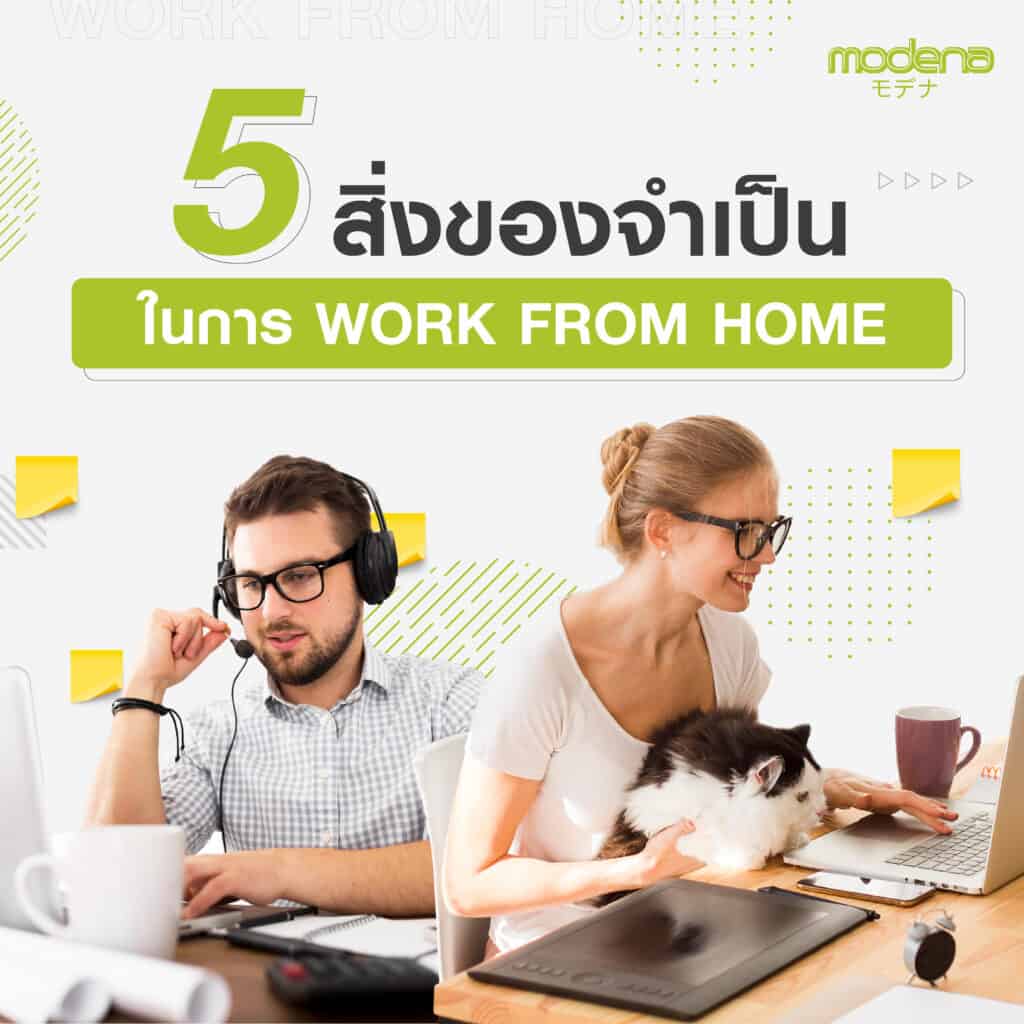 เก้าอี้ทำงาน เพื่อสุขภาพ Modena