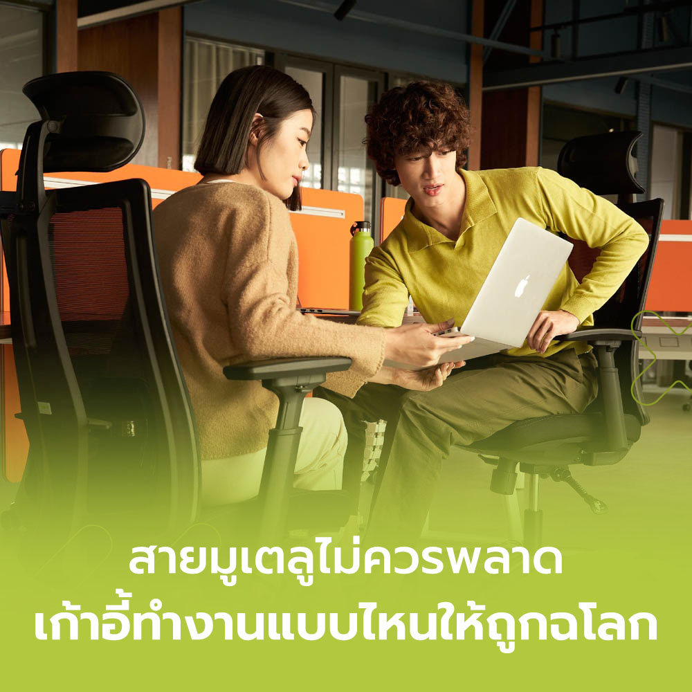สายมูเตลูไม่ควรพลาด เลือกเก้าอี้ทำงานแบบไหนให้ถูกฉโลก