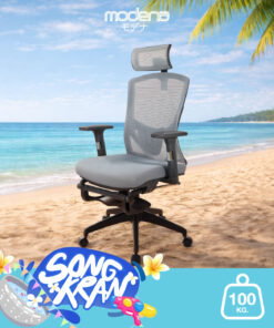 เก้าอี้เพื่อสุขภาพ Ergo Rest