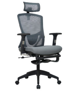 เก้าอี้เพื่อสุขภาพ Ergo Rest