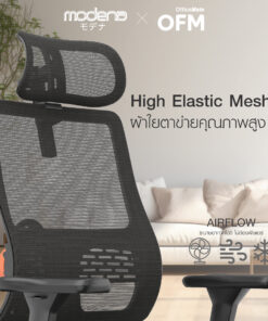 เก้าอี้เพื่อสุขภาพ รุ่น Newtral