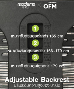 เก้าอี้เพื่อสุขภาพ รุ่น Newtral