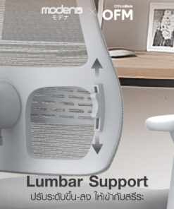 เก้าอี้เพื่อสุขภาพ รุ่น Newtral