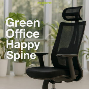 green-office-ergonomic-chair-happy-workplace