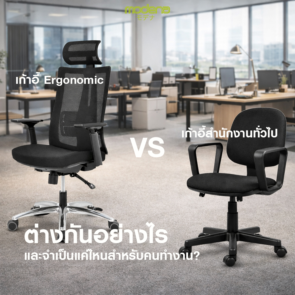 เก้าอี้ Ergonomic ต่างจากเก้าอี้สำนักงานทั่วไปอย่างไร และจำเป็นแค่ไหนสำหรับคนทำงาน?