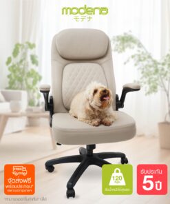 MODENA เก้าอี้เพื่อสำนักงาน Pet Friendly