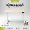 Modena ErgoStand Lite Electric Standing Desk – โต๊ะปรับระดับไฟฟ้า 73–118 ซม.