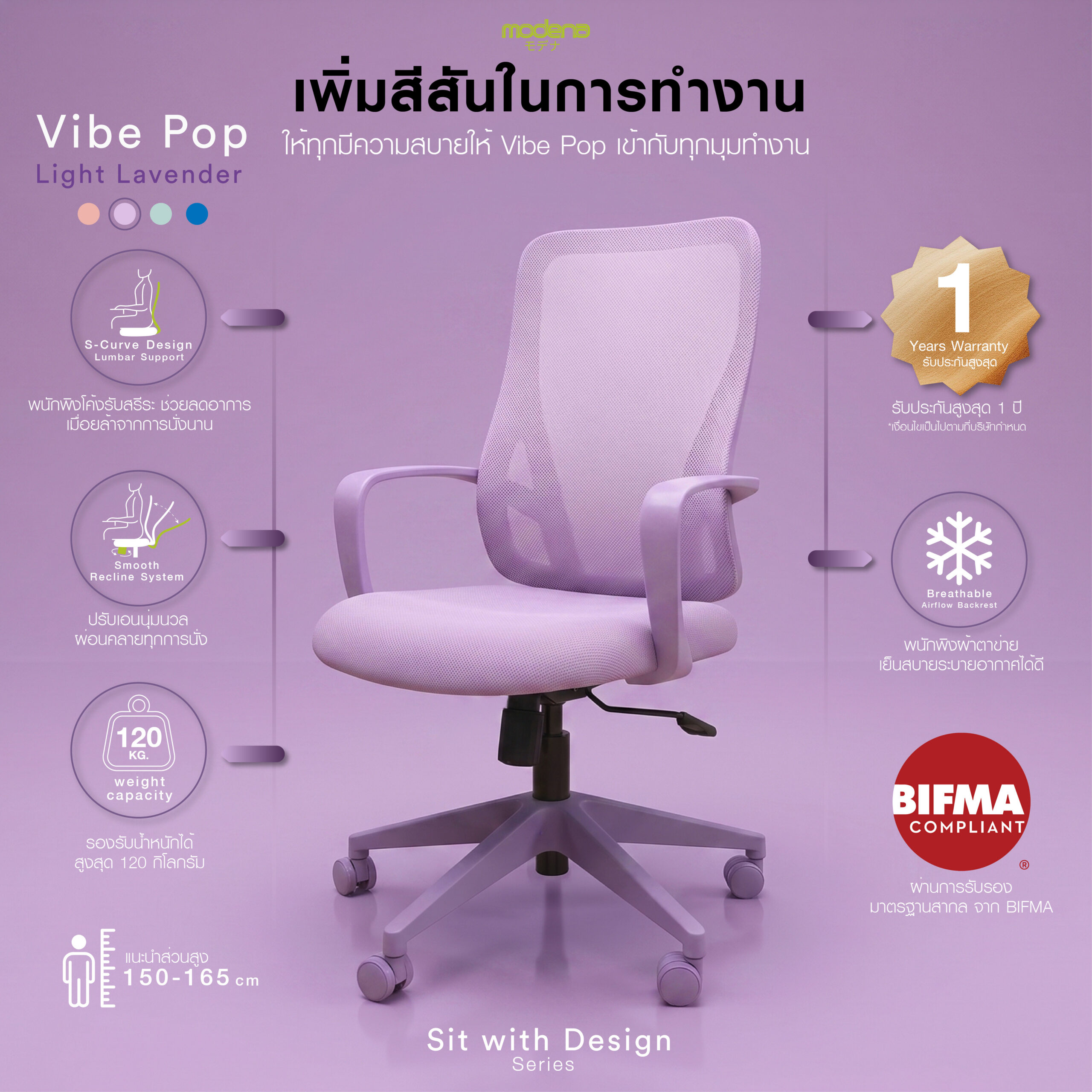 Template Vibe V4-06