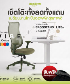 [Bundles deal] MODENA VIBE x ErgoStand Lite ชุดโต๊ะปรับระดับไฟฟ้าพร้อมเก้าอี้ Ergonomic ดีไซน์สีสัน